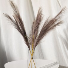 Пампас штучний 75см 5шт/уп. Колір: какао WZ-75