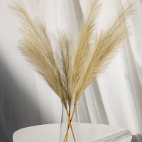 Пампас штучний 75см 5шт/уп. Колір: бежевий GW-50