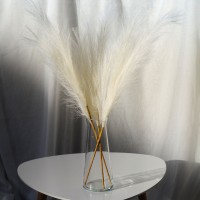 Пампас штучний 75см 5шт/уп. Колір: білий YX-62