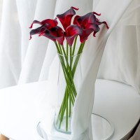 Калла на ніжці штучна В-21 см Упаковка 10 шт. Колір: червоний GY-33