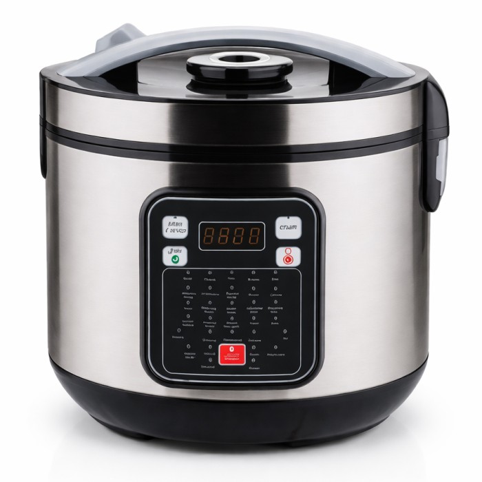 Мультиварка 30 програм Crownberg CB-5528 5л 1000Вт електронне керування з дисплеєм та функцією скороварки LV-46