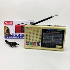 Портативна стовпчик радіо MP3 USB Golon RX-6622. Колір: золотий