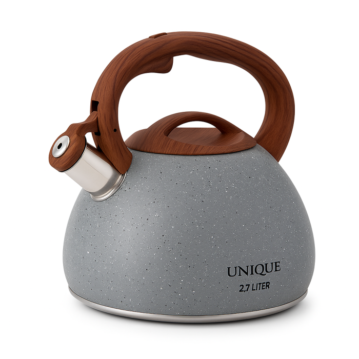 Чайник зі свистком для електроплити Unique, Чайник на три літри для плити газовий красивий RK-73