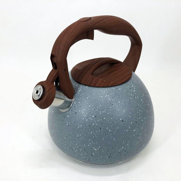 Чайник зі свистком для електроплити Unique, Чайник на три літри для плити газовий красивий RK-73