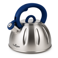 Чайник зі свистком зі зручною нейлоновою ручкою Unique, Гарний чайник для газової плити EC-47