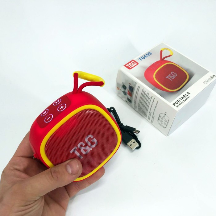Bluetooth колонка радіо на ремені TG659, Акумуляторна bluetooth колонка для домашньої вечірки UK-24