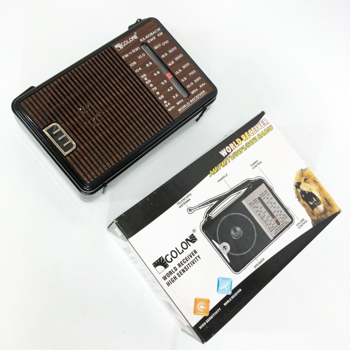 Потужний портативний багаточастотний радіоприймач, Міні радіо, Фм радіоприймач від мережі 220в WT-61