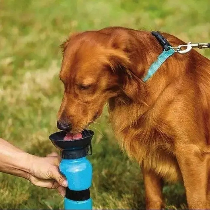 Поїлка для собак дорожня переносна Aqua Dog 537 мл портативна пляшка для великих та дрібних собак FS-97 PJ-26