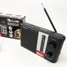 Радіоприймач з ремінцем GOLON RX F12 AM/FM/SW, Радіоприймачі фм, FM передавач YX-654 для радіомовлення