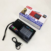 Переносне радіо з функцією відтворення з флешки, Портативний приймач для любителів радіо LZ-45