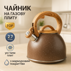 Звичайний чайник на газову плиту, Стильний чайник з нержавіючої сталі зі свистком ON-39