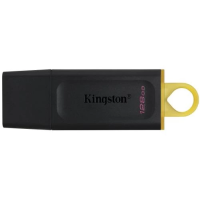 Флеш-накопичувач (USB-флешка) Kingston DataTraveler Exodia 128 ГБ