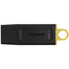 Флеш-накопичувач (USB-флешка) Kingston DataTraveler Exodia 128 ГБ