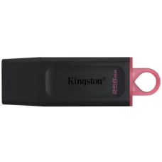 USB-флеш-накопичувач (флешка) Kingston DataTraveler Exodia 256 ГБ