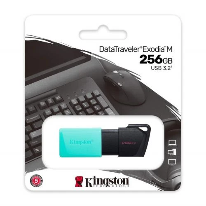 USB-флешка Kingston DataTraveler Exodia M на 256 ГБ