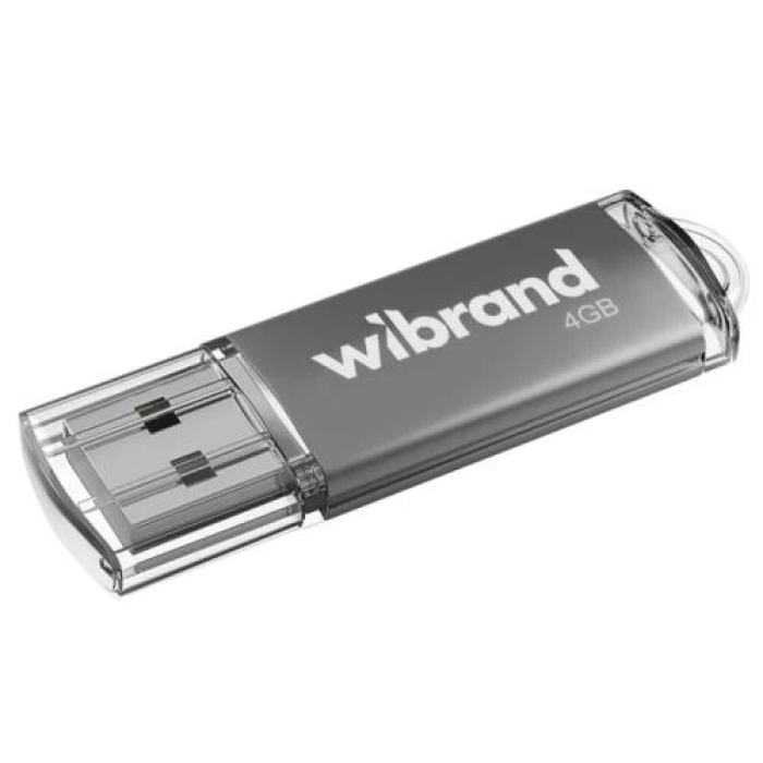 USB-флешка Wibrand Cougar на 4 ГБ, сріблястий корпус