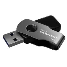 Флеш-накопичувач (USB-флешка) Wibrand Lizard 64 ГБ, USB 3.2 Gen 1, чорний