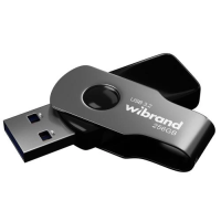 Флешка USB (USB-накопичувач) Wibrand Lizard USB 3.2 Gen 1 256 ГБ, чорна