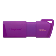 Флешка (USB-накопичувач) Kingston DataTraveler Exodia M 128 ГБ, фіолетова