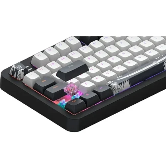 Ігрова механічна клавіатура Dark Project ALU87 Bushido Black/White
