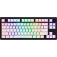 Бездротова клавіатура (радіоклавіатура) Hator Skyfall 80 White/Black RGB, 84 клавіші