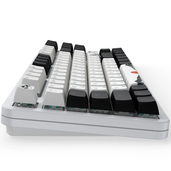 Механічна ігрова клавіатура Dark Project 87 Fuji V2 White/Black