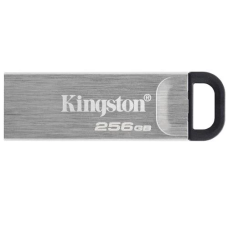 Флеш-накопичувач (USB-флешка) Kingston DataTraveler Kyson 256 ГБ, сріблястий