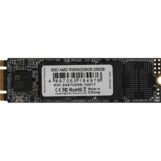 Твердотільний накопичувач (SSD) AMD R3 256 ГБ M.2 2280 SATA3