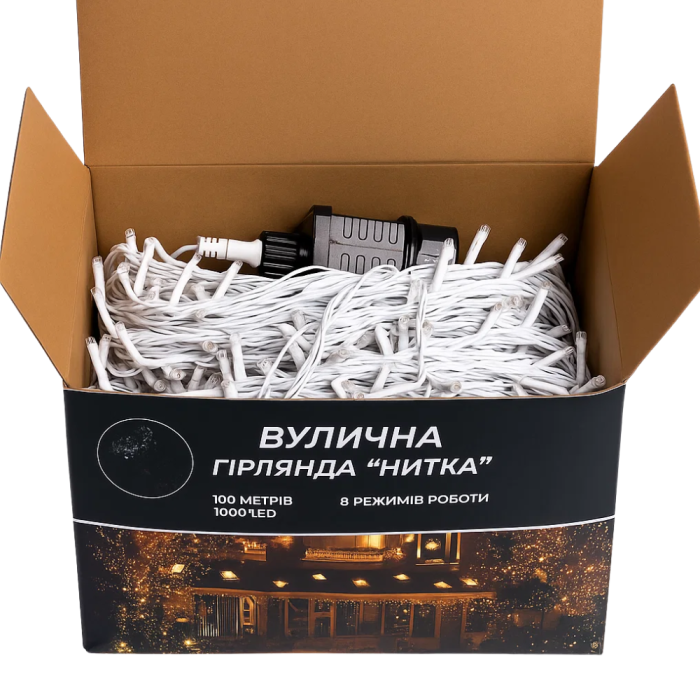 Гірлянда Різдвяна фея вулична 100 м 1000 LED білий провід Синій CF1000L100MWBL (63971)