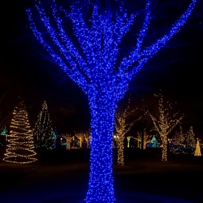 Гірлянда Різдвяна фея вулична 100 м 1000 LED білий провід Синій CF1000L100MWBL (63971)