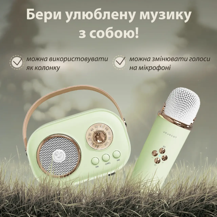 Колонка портативна з мікрофоном C-20 BT/TF/USB/FM 5 Вт Зелений C20GR (35133)