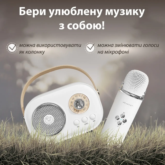 Колонка портативна з мікрофоном C-20 BT/TF/USB/FM 5 Вт Білий C20W (72285)
