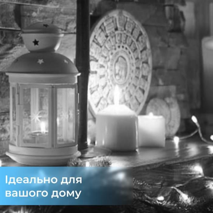 Гірлянда світлодіодна кінський хвіст GarlandoPro 200LED Роса 2м 10 ліній Білий 1733011W (43437)