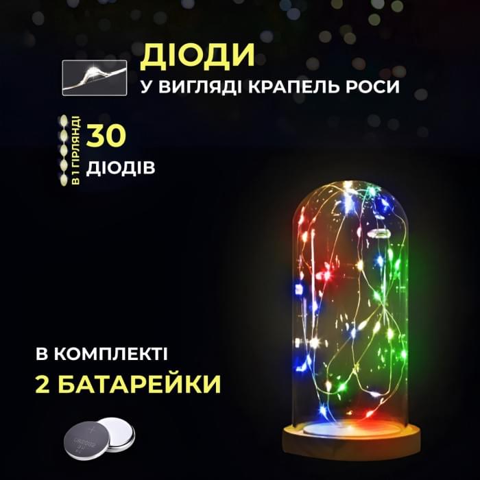 Світлодіодна гірлянда Роса 3 метри на батарейках 30 led нитка на зеленому дроті мультиколор (47364)