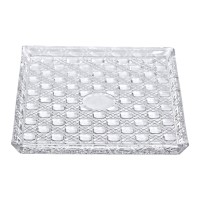 Блюдо для закусок Lirmartur скляне 24,5*20,5*2 см HP-YH-38 (54281)